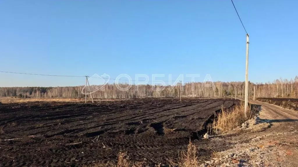 Участок в Тюменская область, Нижнетавдинский район, Царицыно СНТ  (9.5 ... - Фото 1