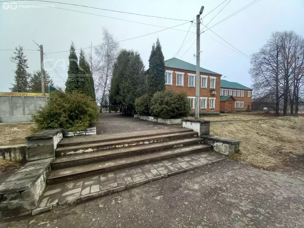 Помещение свободного назначения (800 м) - Фото 1