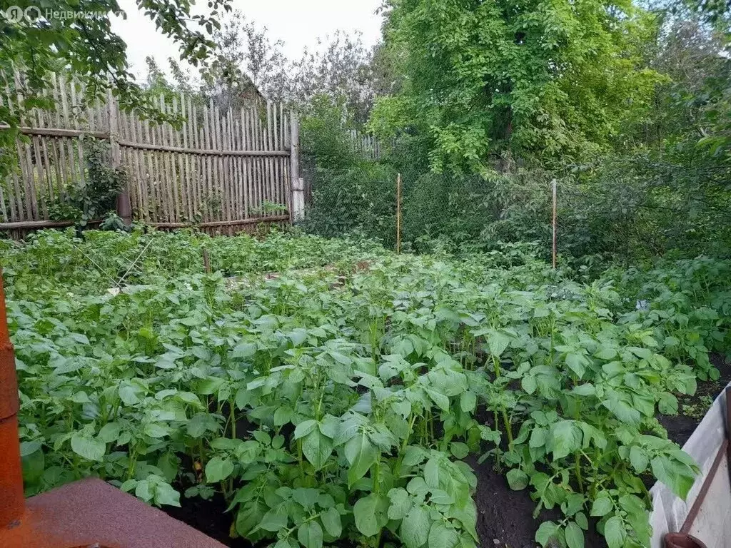 Участок в Миасс, СНТ Урал-2 (3.4 м) - Фото 1