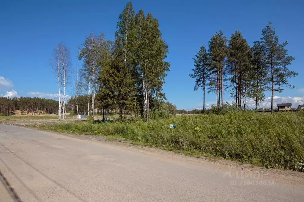 Участок в Ленинградская область, Всеволожский район, Бугровское ... - Фото 0