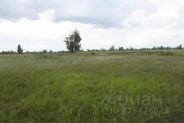 Участок в Самарская область, Тольятти Южное ш. (2300.0 сот.) - Фото 1