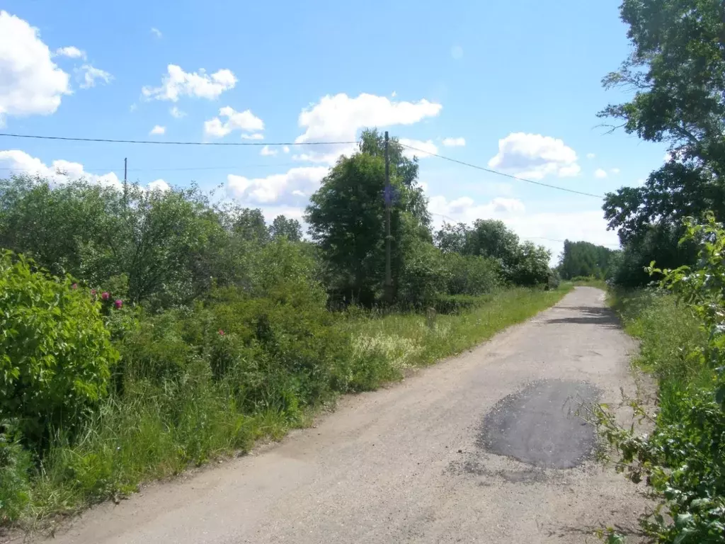 Участок в Ярославская область, Переславль-Залесский муниципальный ... - Фото 2