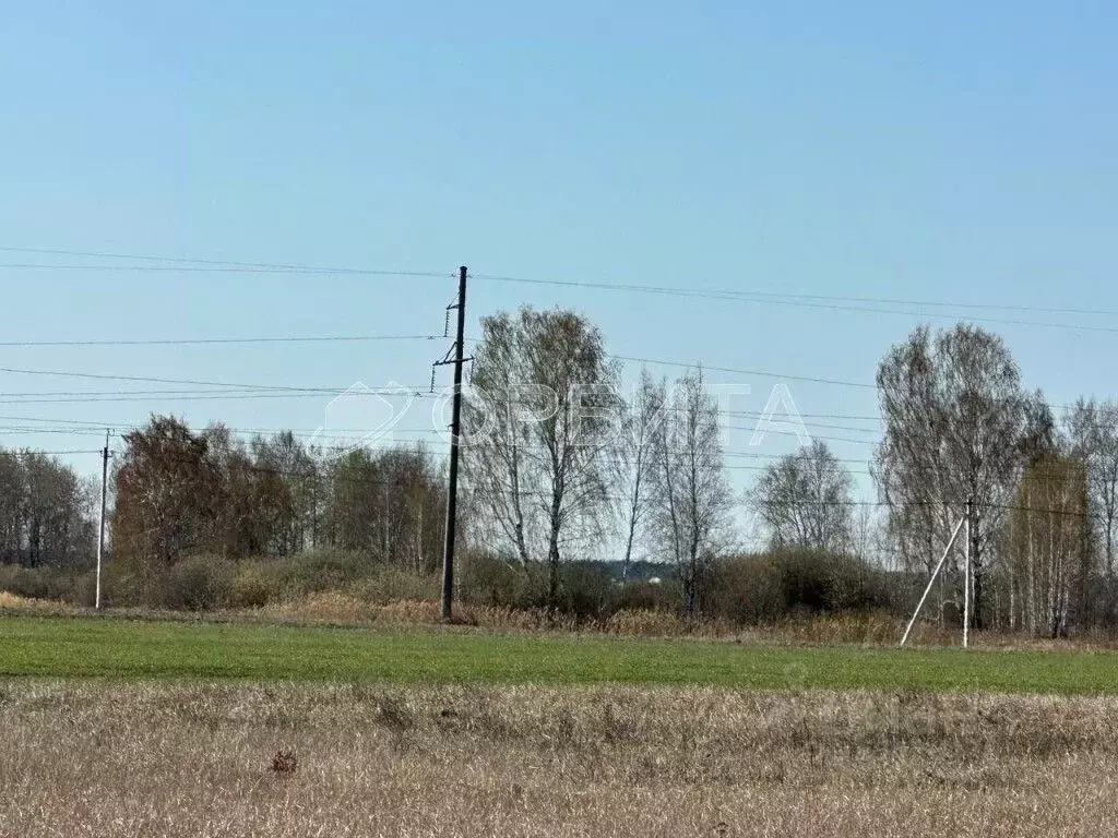 Участок в Тюменская область, Тюменский район, д. Елань  (5.0 сот.) - Фото 0