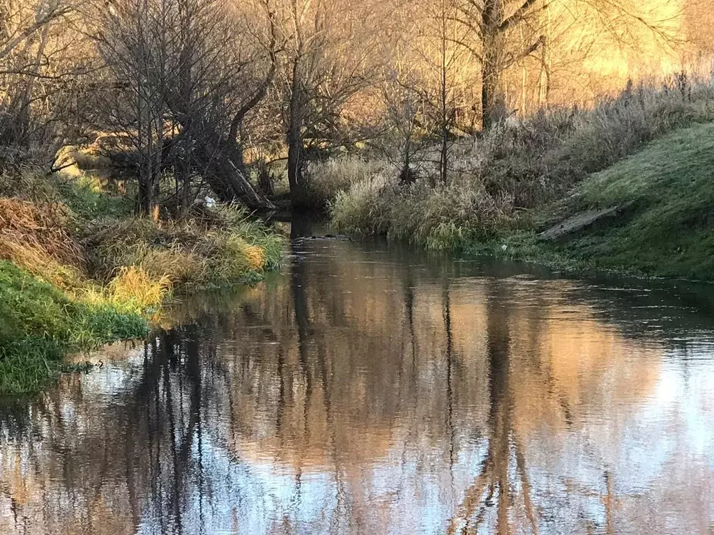 Участок в Московская область, Чехов муниципальный округ, д. Сергеево  ... - Фото 1