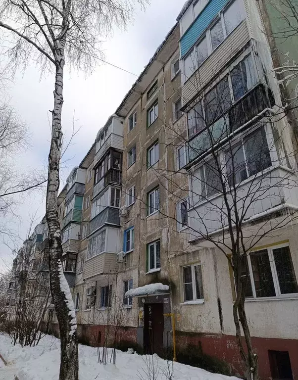 1-к кв. Московская область, Ногинск Богородский городской округ, пер. ... - Фото 1