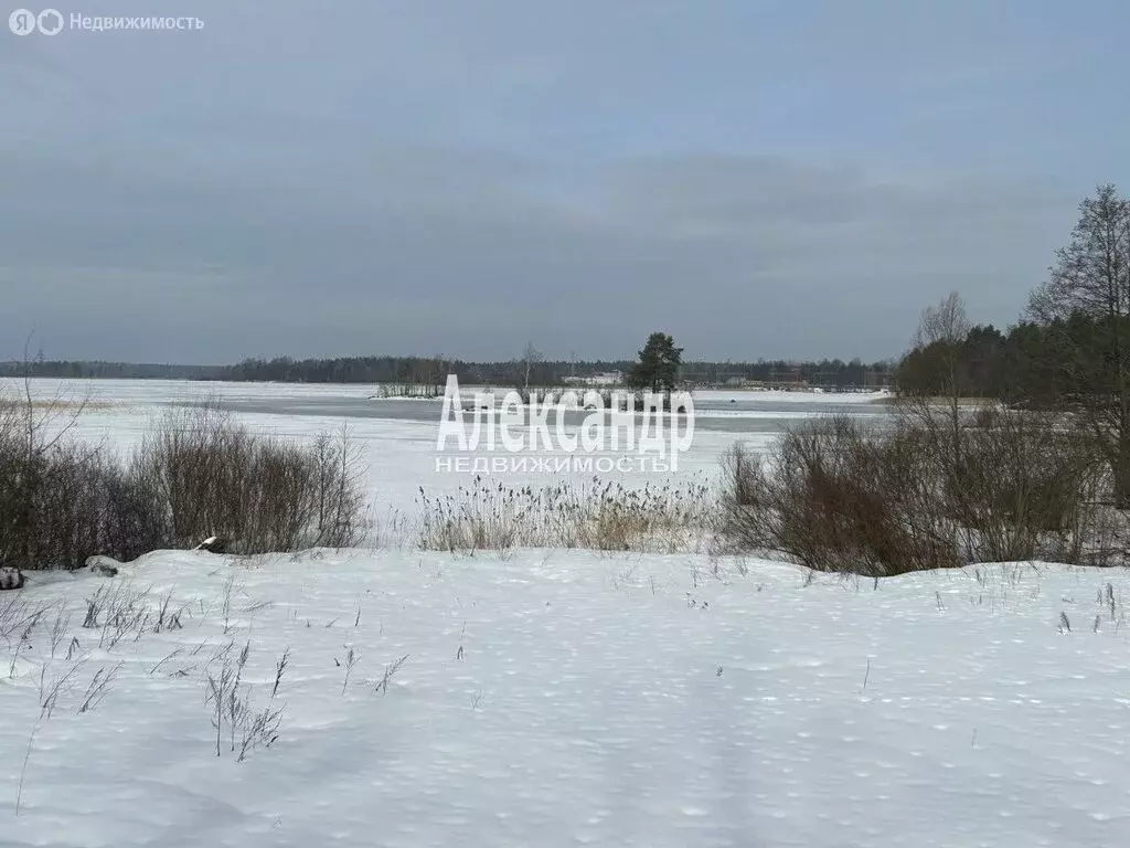 Дом в Приозерск, Дачная улица, 15 (49.3 м) - Фото 2