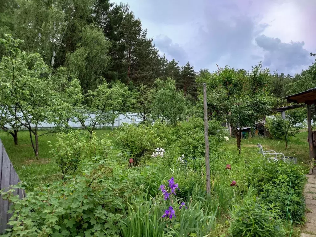 Участок в Московская область, Одинцовский городской округ, с. Луцино  ... - Фото 1