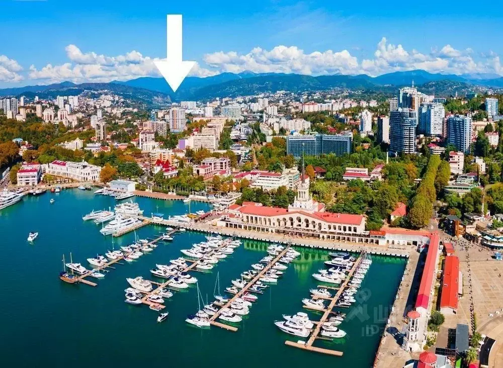 Помещение свободного назначения в Краснодарский край, Сочи Центральный ... - Фото 1