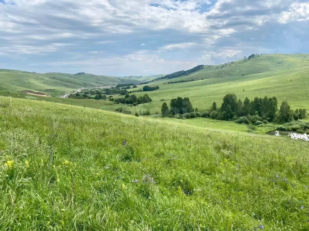 Участок в Алтайский край, Алтайский район, Жемчужина Алтая ДНТ  (8.6 ... - Фото 1