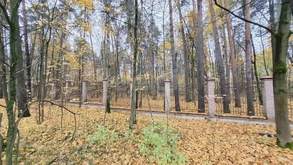 Участок в Московская область, Королев Первомайский мкр, Сосновый Бор ... - Фото 1