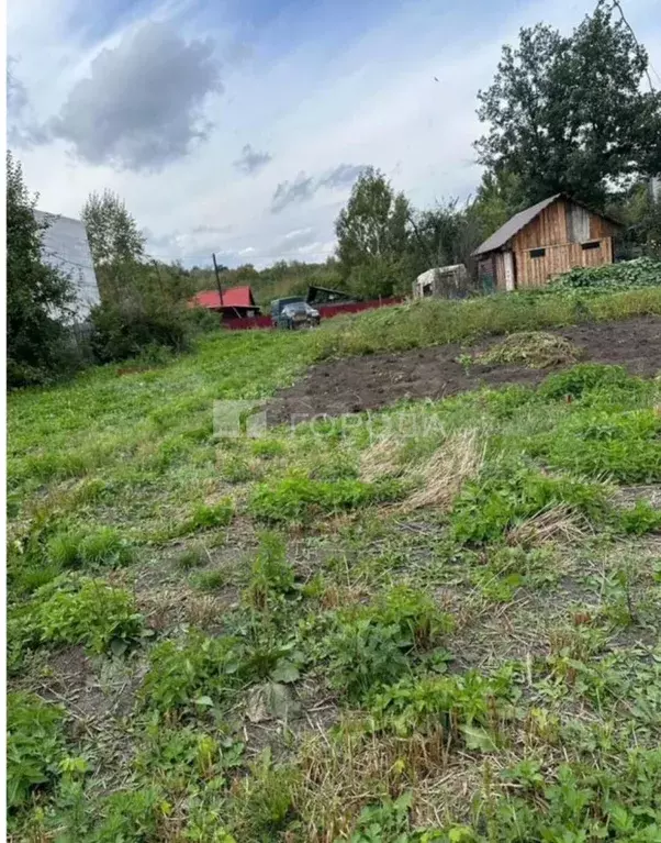 Участок в Кемеровская область, Новокузнецк Алмазная ул. (9.0 сот.) - Фото 0