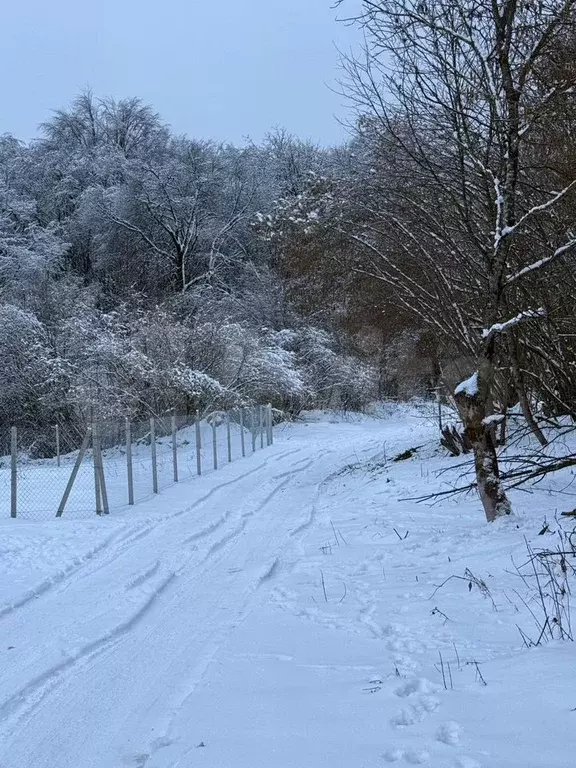 Участок 6 сот. (СНТ, ДНП) - Фото 0