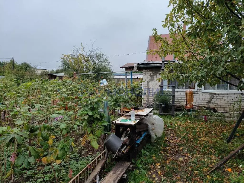 Сады дружба в йошкар оле. СНТ Дружба Йошкар Ола. Сады Дружба Йошкар-Ола. Коттеджный поселок Дружба Йошкар-Ола.