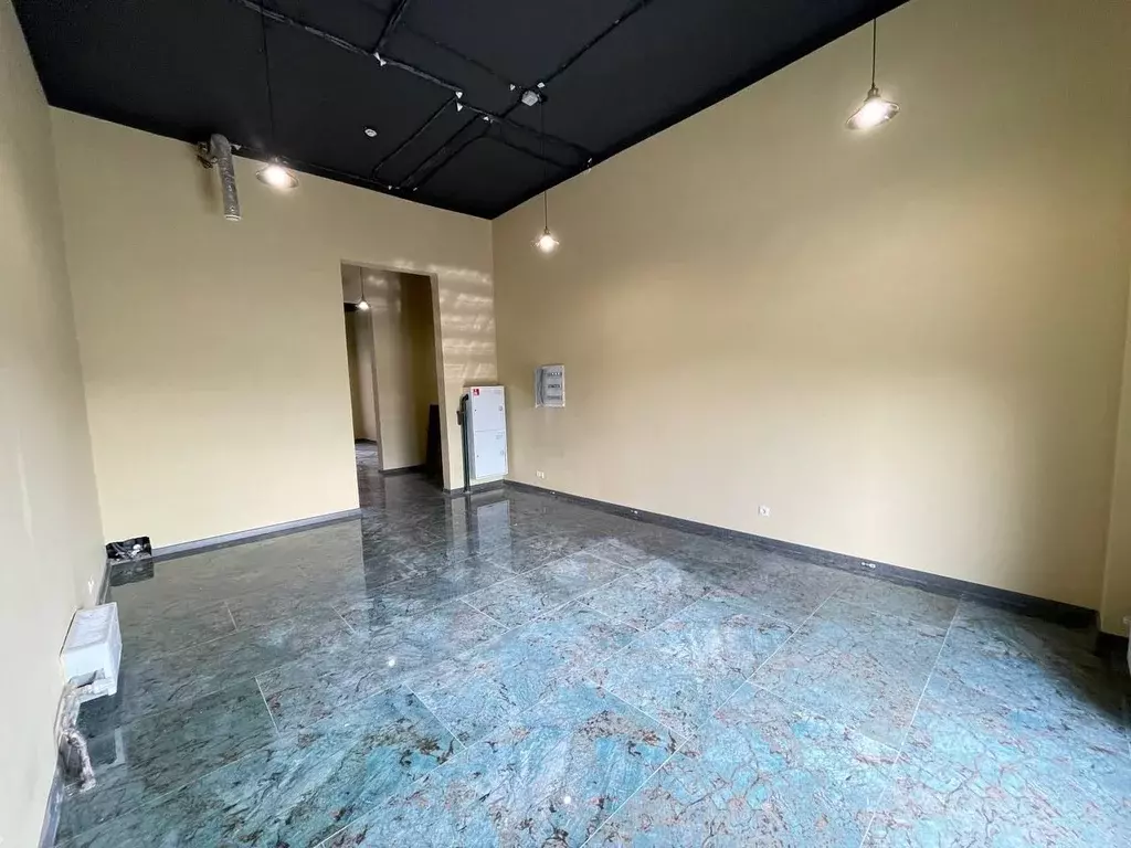 Помещение свободного назначения в Московская область, Балашиха ул. ... - Фото 1