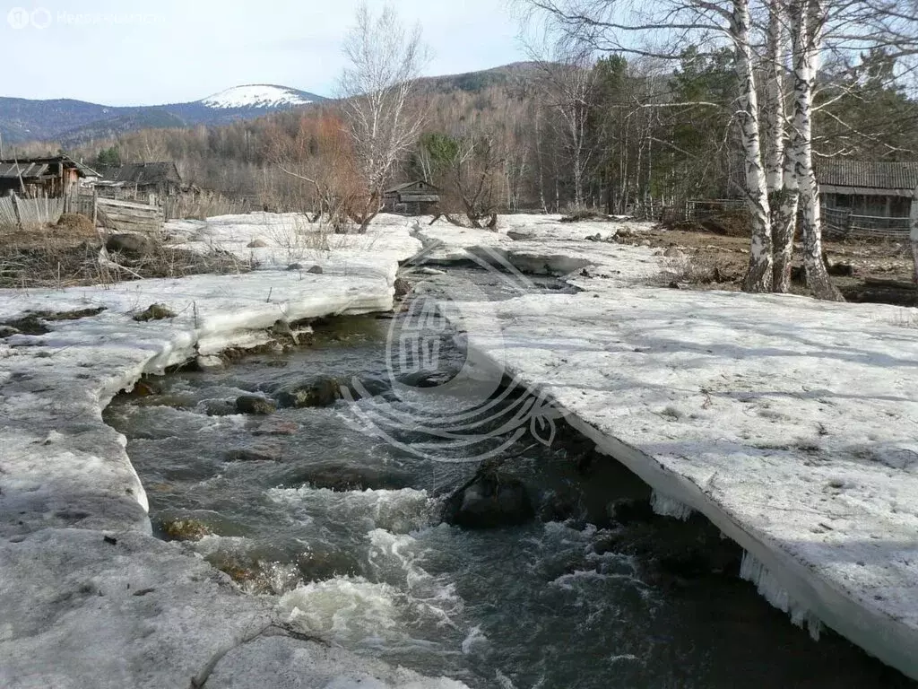 Участок в Чарышский район, село Майорка (48 м) - Фото 0