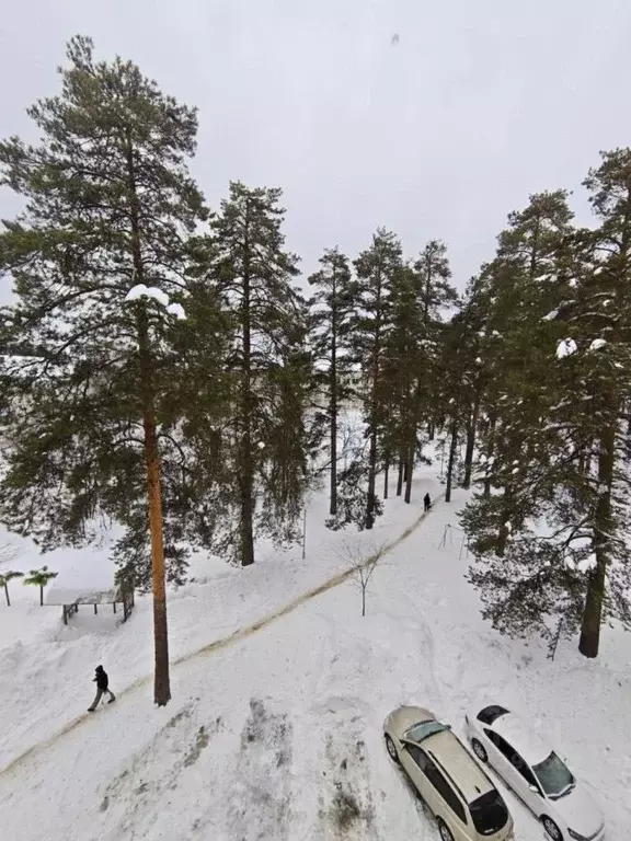 2-к кв. Пензенская область, Заречный Спортивная ул., 11А (42.8 м) - Фото 1