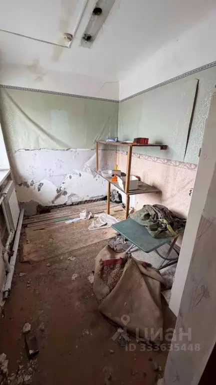 Помещение свободного назначения в Еврейская автономная область, ... - Фото 1