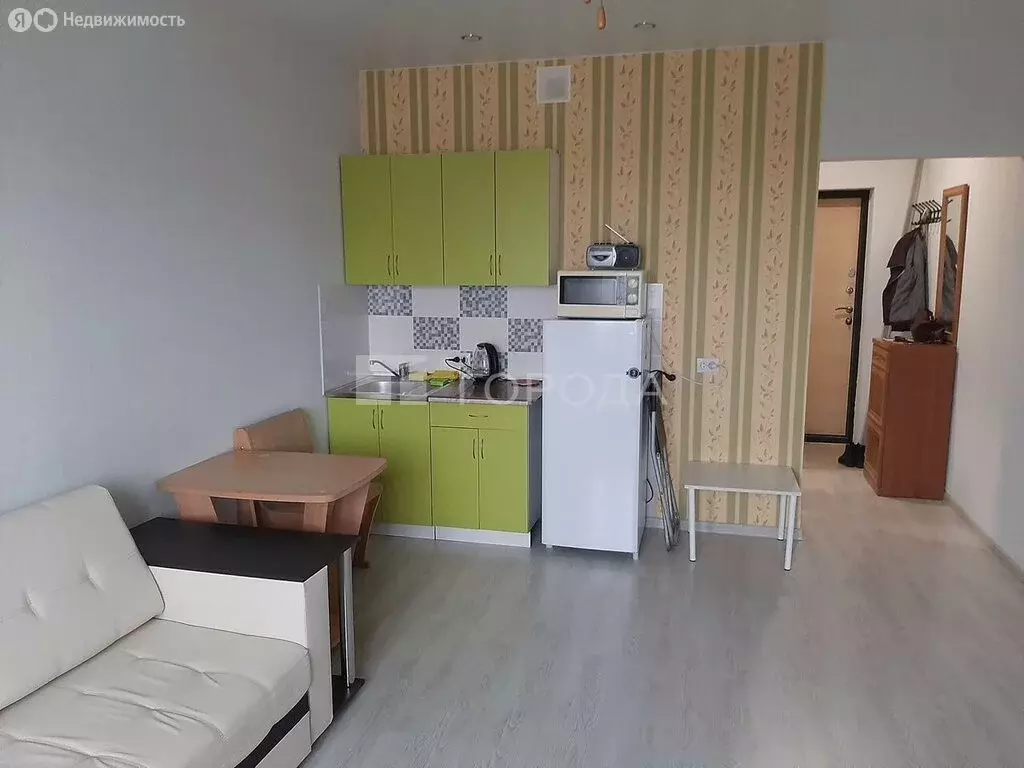 Квартира-студия: Новосибирск, улица Ошанина, 1 (24.8 м) - Фото 1