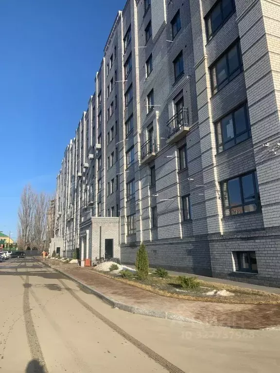 1-к кв. Волгоградская область, Волгоград Новодвинская ул., 18 (43.0 м) - Фото 2