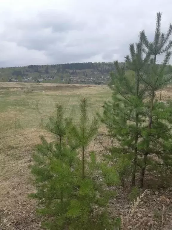 Участок 10 сот. (СНТ, ДНП) - Фото 0
