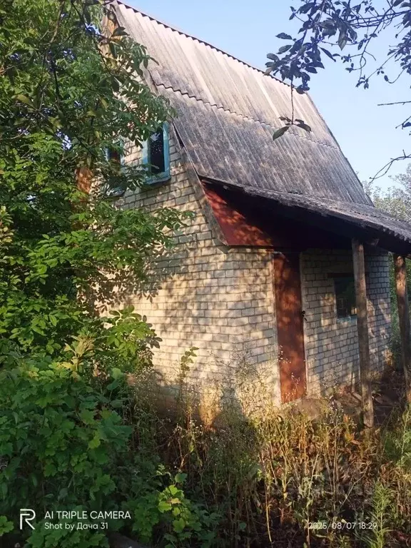 Дом в Белгородская область, Яковлевский муниципальный округ, Садовые ... - Фото 0