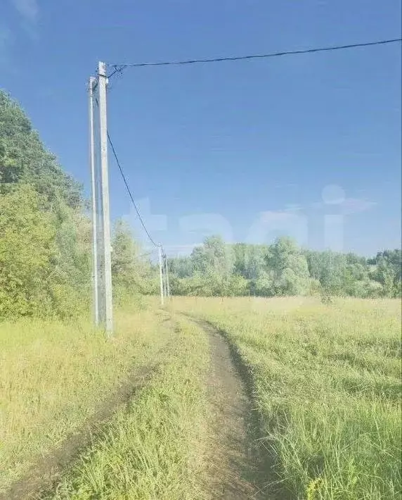 Участок в Мордовия, Лямбирский район, Берсеневское с/пос, с. Татарская ... - Фото 1