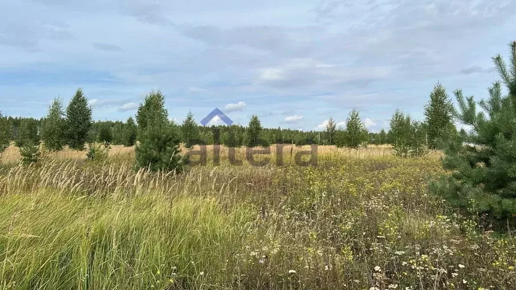 Участок в Татарстан, Рыбно-Слободский район, Анатышское с/пос, с. ... - Фото 2