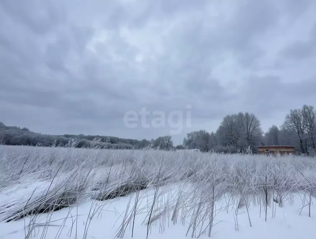 Участок в Тульская область, Тула городской округ, д. Малевка ул. ... - Фото 1