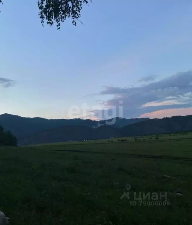 Участок в Алтай, Чемальский район, с. Анос  (100.6 сот.) - Фото 1