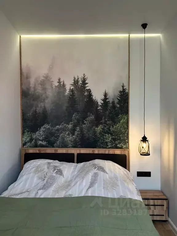 2-к кв. Калининградская область, Советск ул. М. Горького, 6А (43.0 м) - Фото 2