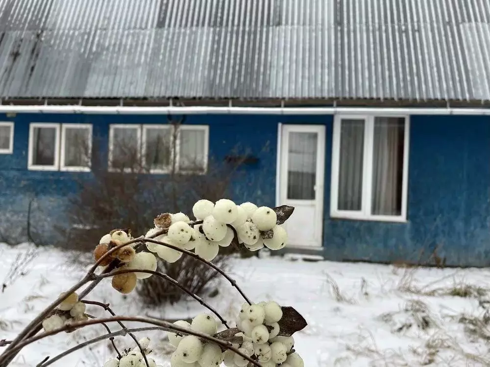 Дом в Московская область, Серпухов городской округ, д. Дернополье  (90 ... - Фото 0