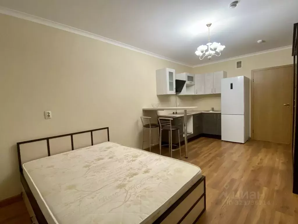 Студия Ленинградская область, Мурино Всеволожский район, ул. ... - Фото 1