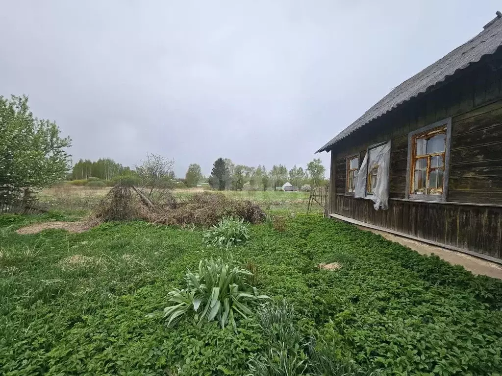 Участок в Смоленская область, Руднянский муниципальный округ, д. ... - Фото 1