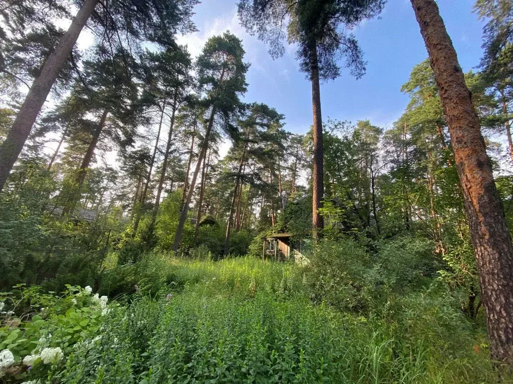 Продается участок в г. Одинцово - Фото 2