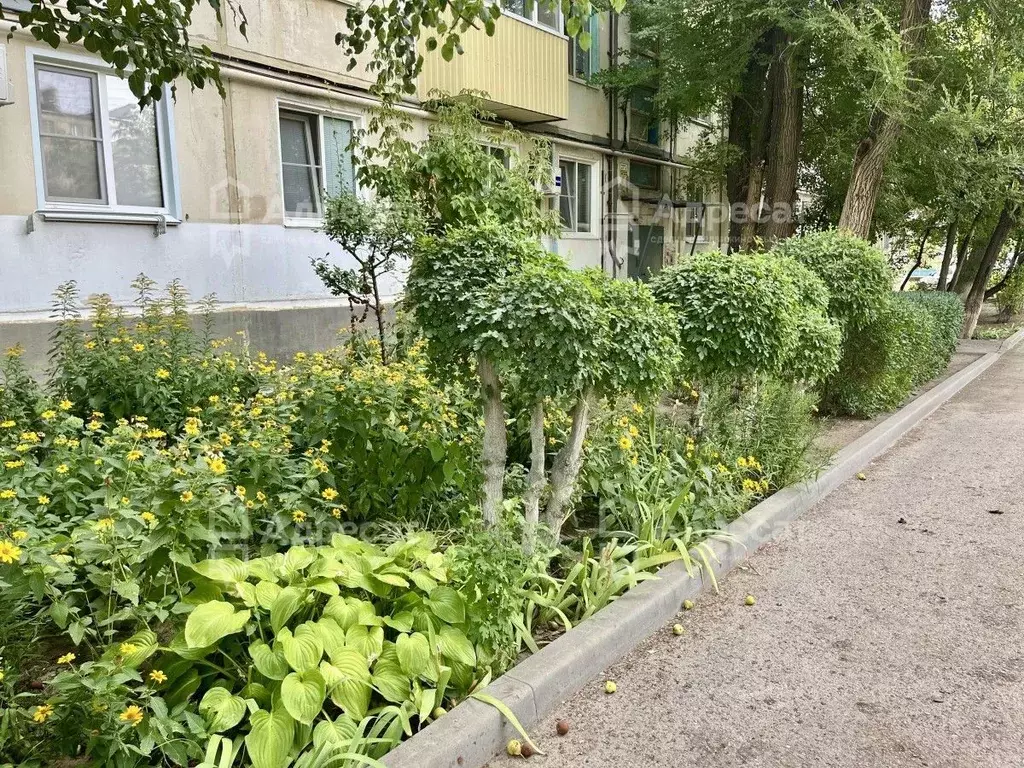 2-к кв. Волгоградская область, Волгоград ул. Козака, 13 (40.9 м) - Фото 1