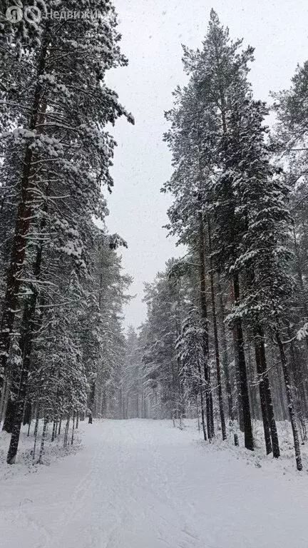 Участок в деревня Ягодное, 1-й Школьный проезд (10 м) - Фото 1