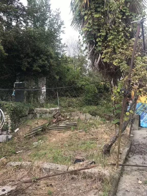 Участок в Краснодарский край, Сочи  (7.8 сот.) - Фото 2