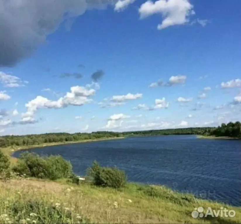 Участок в Вологодская область, Устюженский район, д. Ванское ул. ... - Фото 1