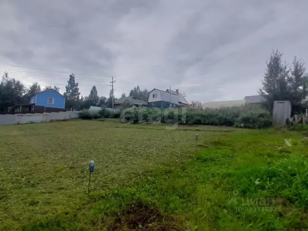 Участок в Ханты-Мансийский АО, Ханты-Мансийск Разведчик садоводческий ... - Фото 1