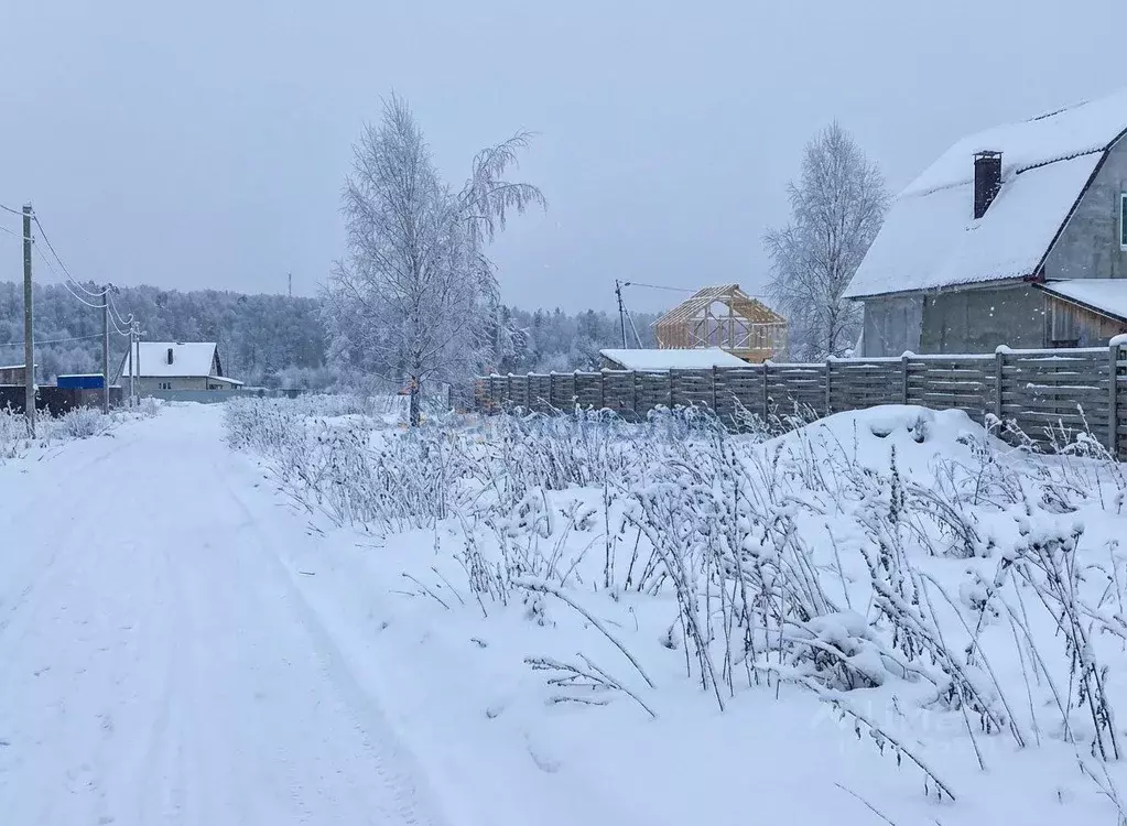 Участок в Нижегородская область, Богородский муниципальный округ, д. ... - Фото 1