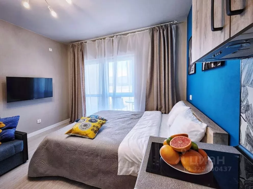 Студия Краснодарский край, Новороссийск ул. Матвейкина, 1А (24.2 м) - Фото 2