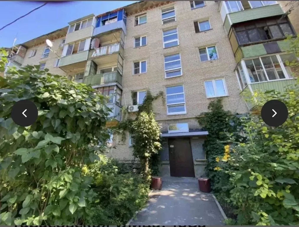 1-к кв. Московская область, Пушкинский городской округ, пос. ... - Фото 1