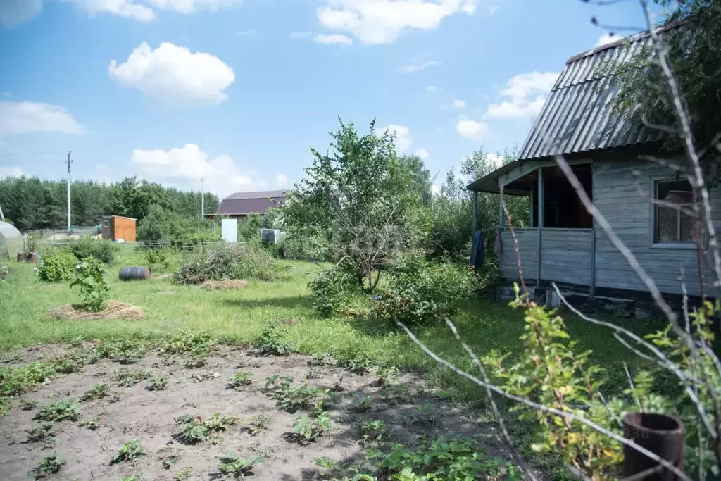 Дом в Новосибирская область, Бердск Ветеран садовое товарищество, 191 ... - Фото 0