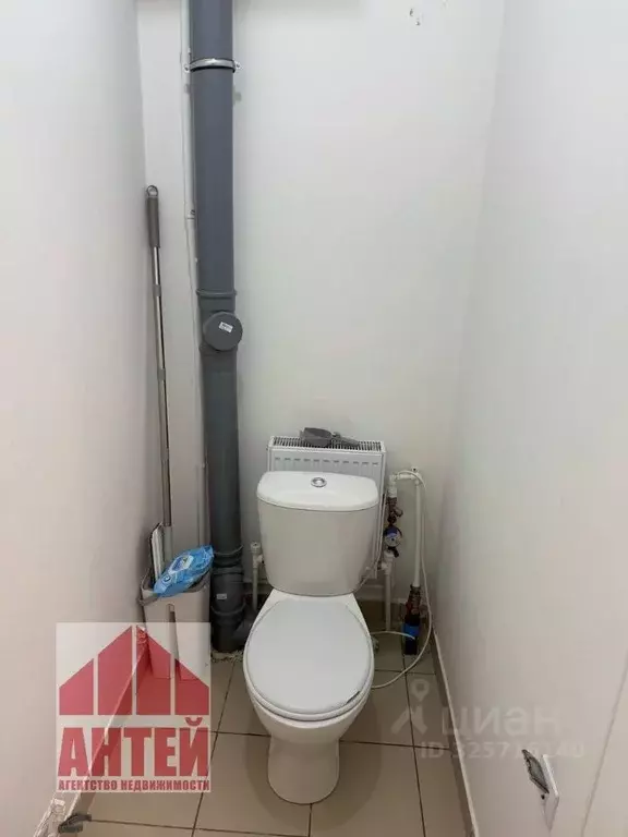 Таунхаус в Нижегородская область, Нижний Новгород с. Большая Ельня, ... - Фото 2