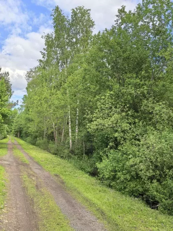 Дом в Московская область, Клин городской округ, Мираж садовое ... - Фото 1