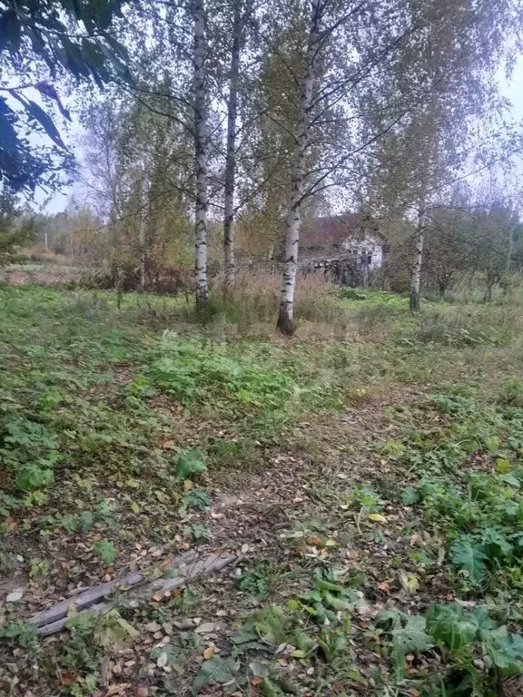 Участок в Ярославская область, Ярославский муниципальный округ, д. ... - Фото 1