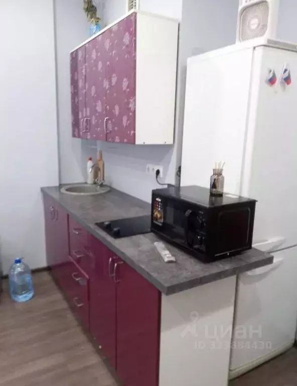 Студия Псковская область, Псковский район, Завеличенская волость, д. ... - Фото 2