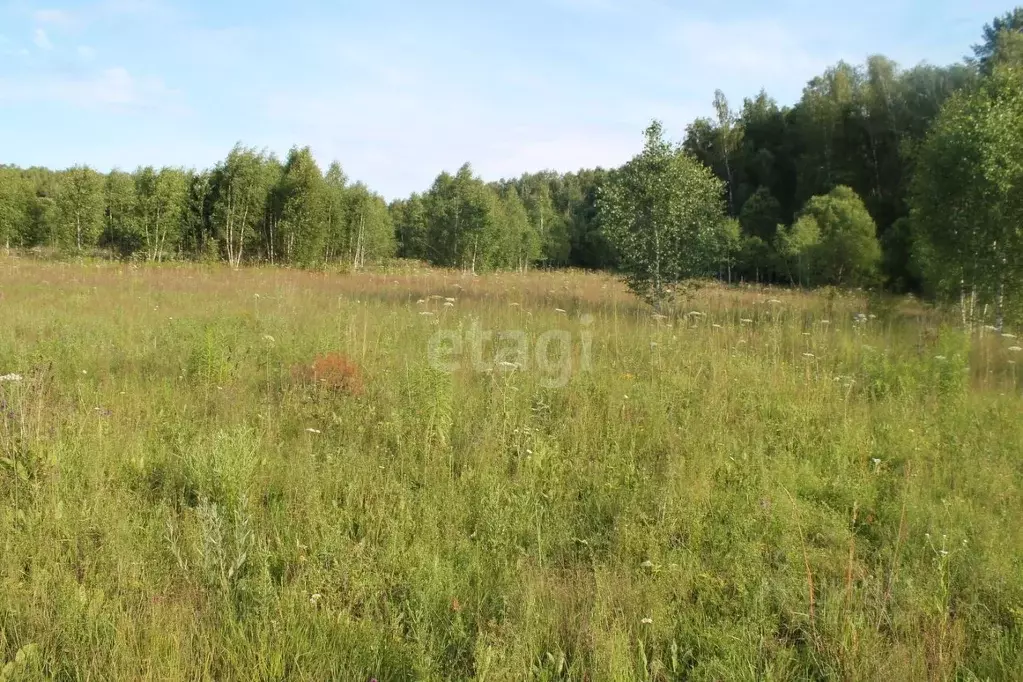 Участок Ижс Снт В Туле Купить
