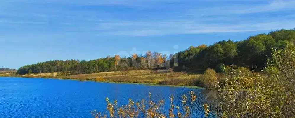 Участок в Калужская область, Жуков ул. Рябиновая, 11 (10.0 сот.) - Фото 1