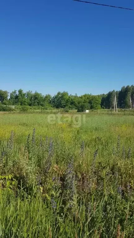 Участок в Башкортостан, Стерлитамакский район, д. Казадаевка, Любажи ... - Фото 1